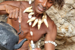 Socotra_2025 (76/76)